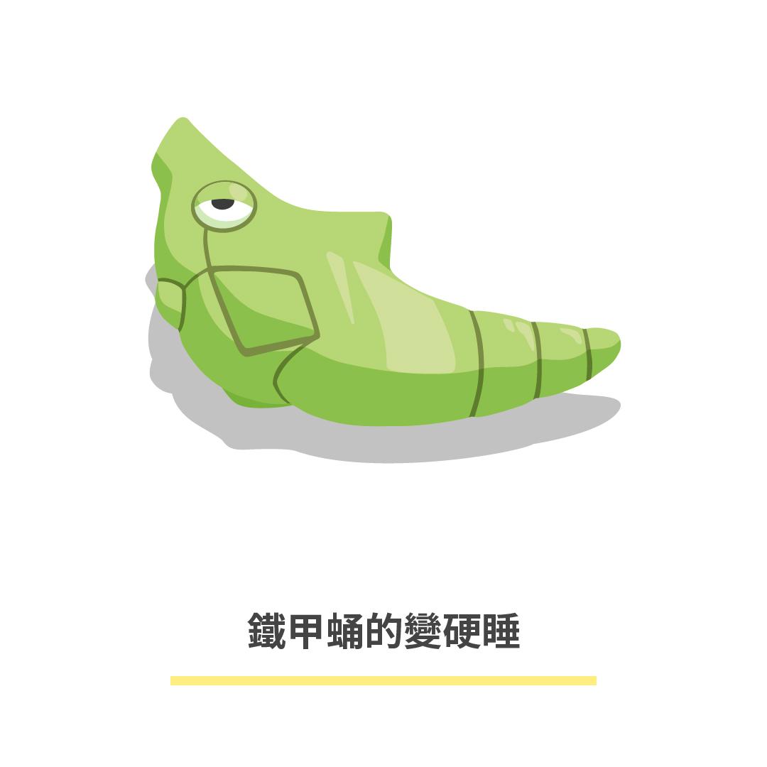 寶可夢睡姿圖鑑