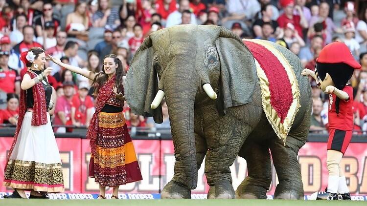 旅發局舉辦「開心香港」樂聚維港嘉年華,除有維港水上音樂會,亦有多個連串精彩節目沿海濱上演。