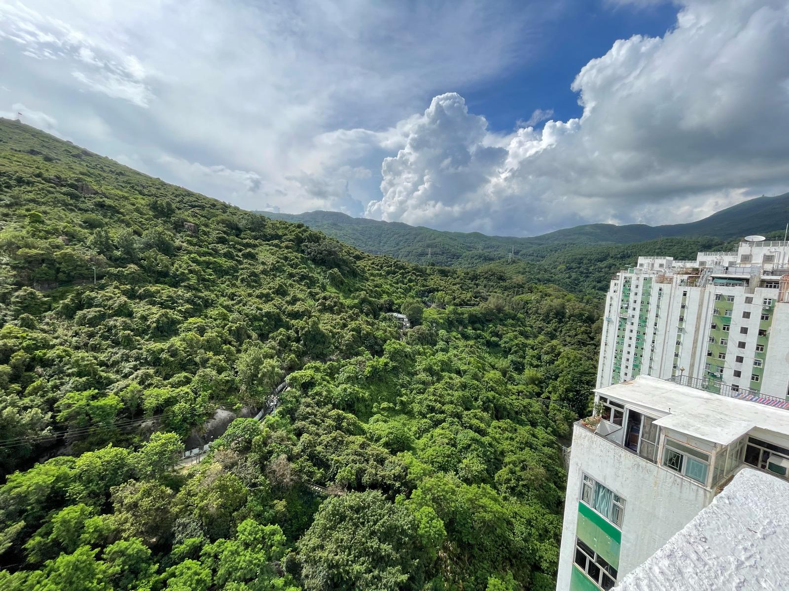 單位主要望翠綠山景,清靜開揚。