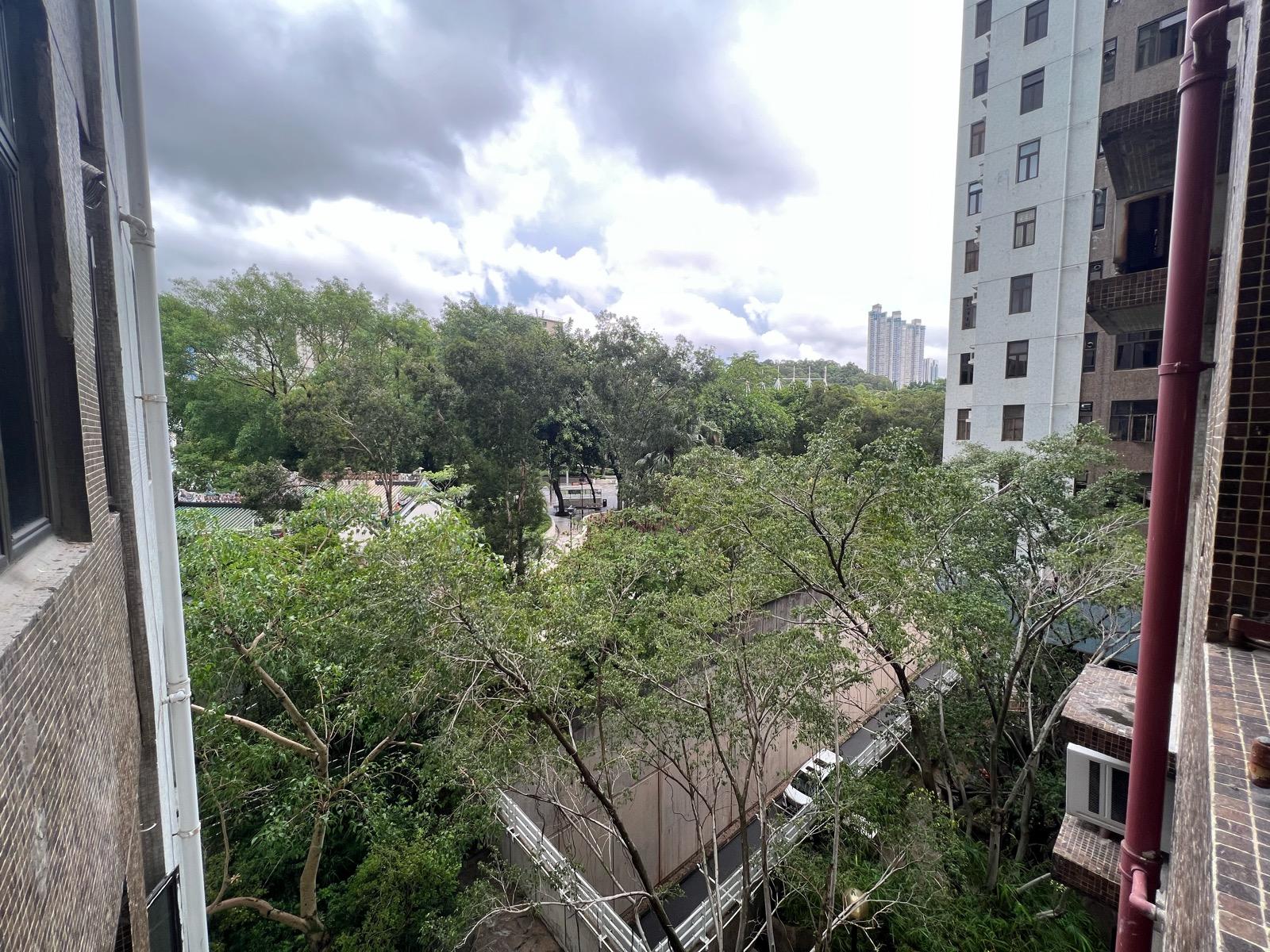 單位主要望園景和樹景,景致開揚清靜。