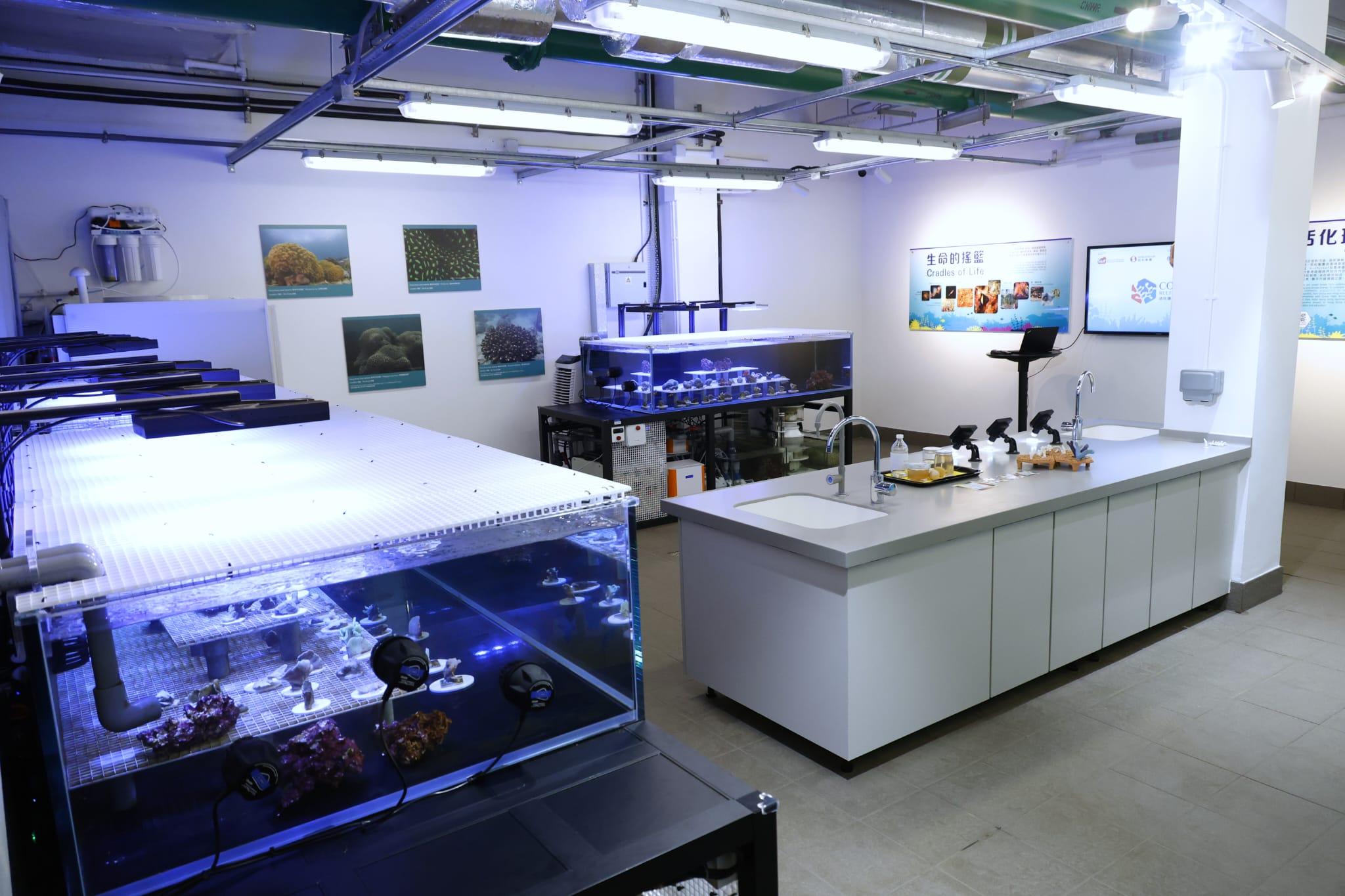 海洋公園全新「活化珊瑚保育中心」開張 推動社會參與珊瑚保育 (林俊源攝)