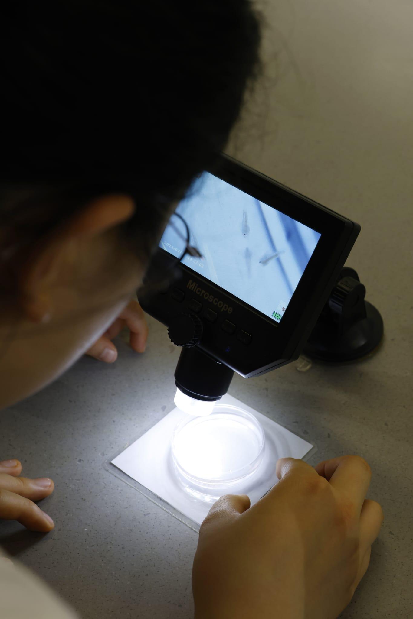 海洋公園全新「活化珊瑚保育中心」開張 推動社會參與珊瑚保育 (林俊源攝)