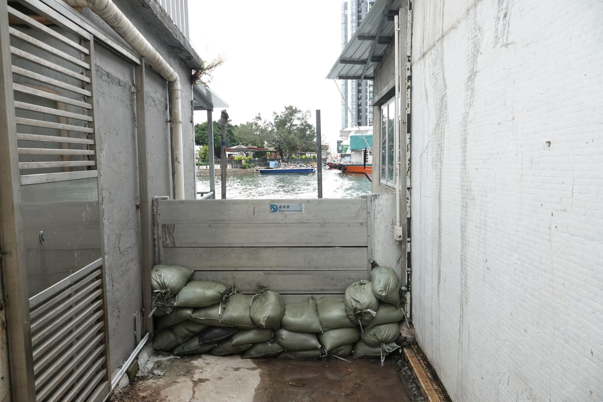 颱風泰利|105人入住臨時庇護中心 截至11時全港18宗塌樹