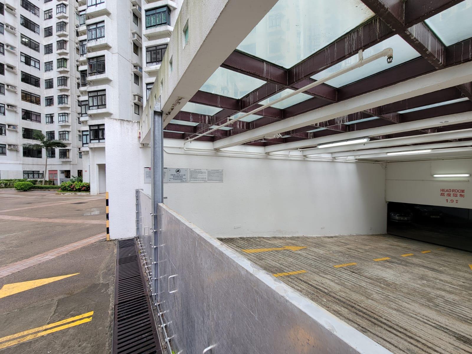 颱風泰利|無懼湧浪拍上岸 市民杏花邨觀浪追風