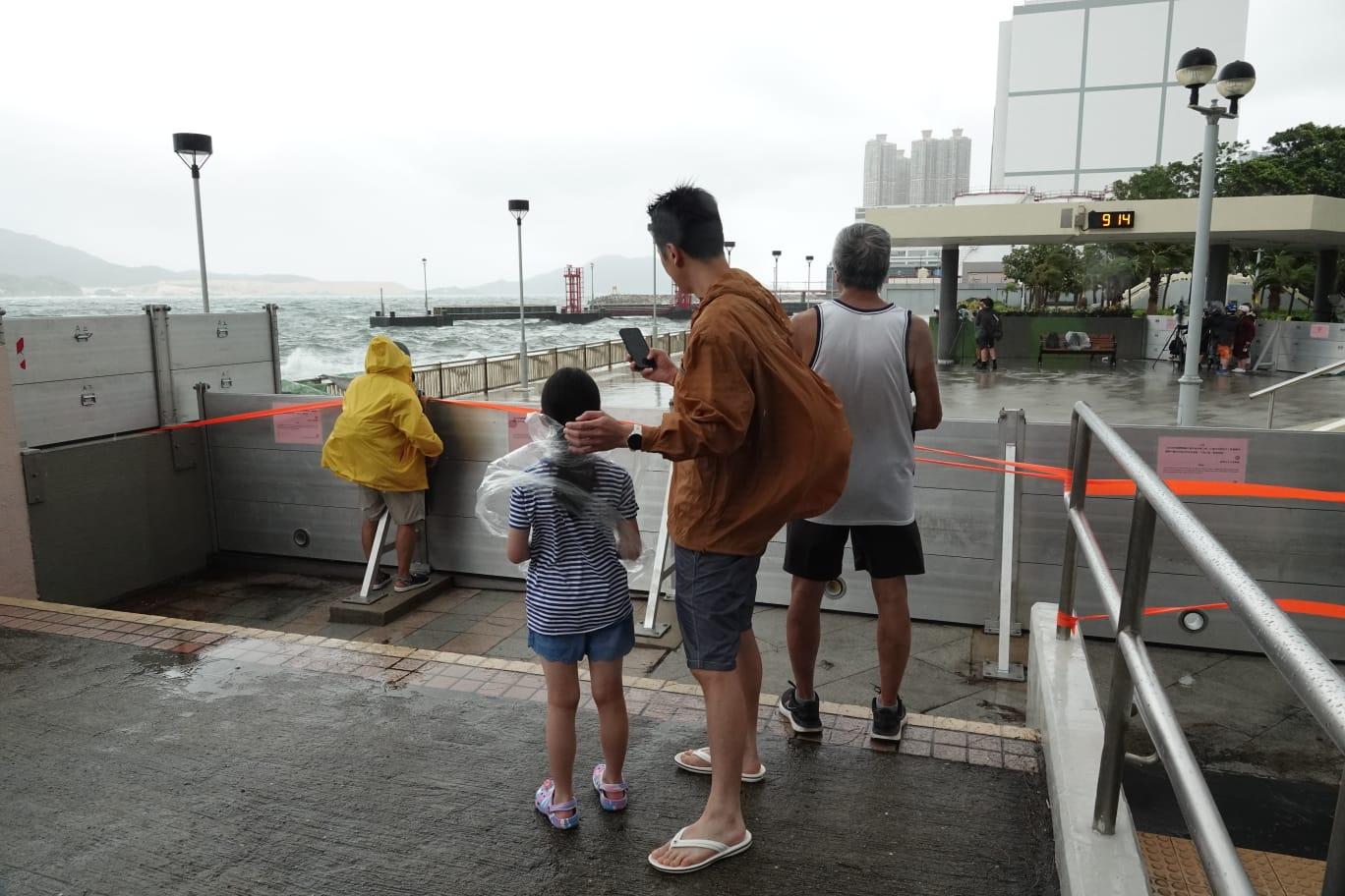 颱風泰利|無懼湧浪拍上岸 市民杏花邨觀浪追風