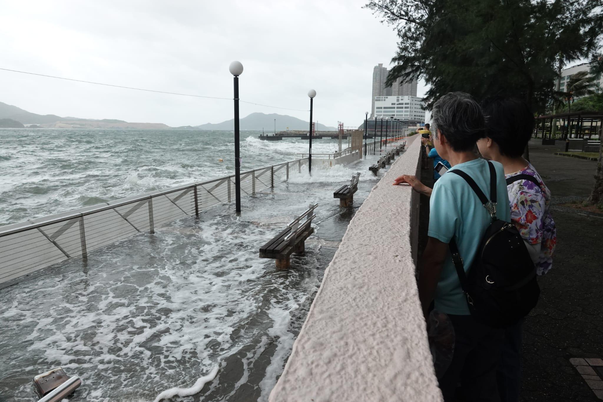 颱風泰利|無懼湧浪拍上岸 市民杏花邨觀浪追風