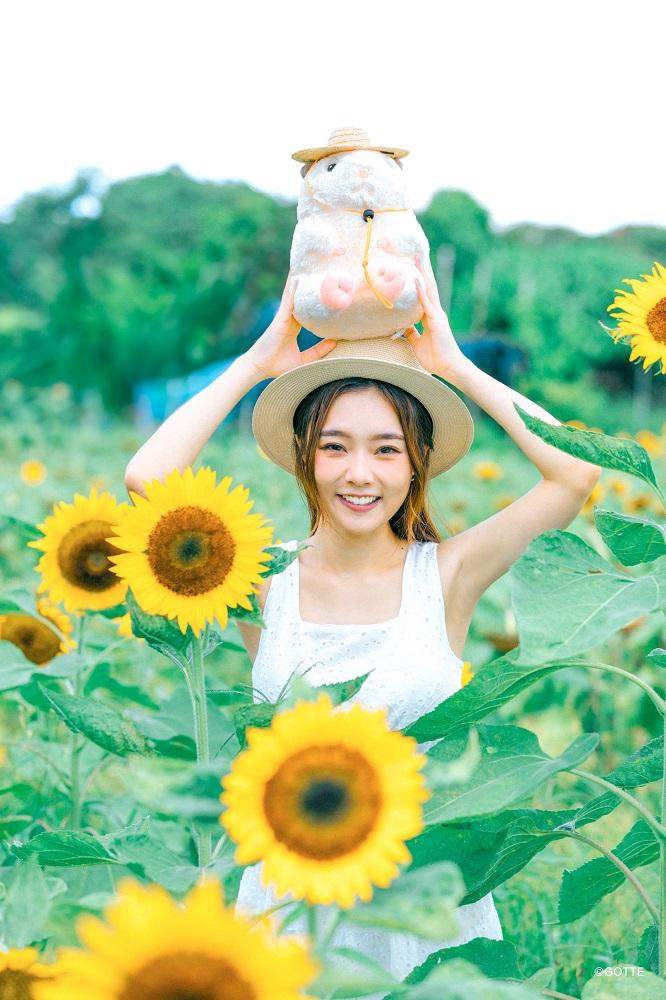 Yoyo獲朗豪坊邀請,日前與日本人氣插畫角色助六一同到元朗向日葵花田拍攝宣傳照,盡顯其大愛萌爆小倉鼠的少女心。