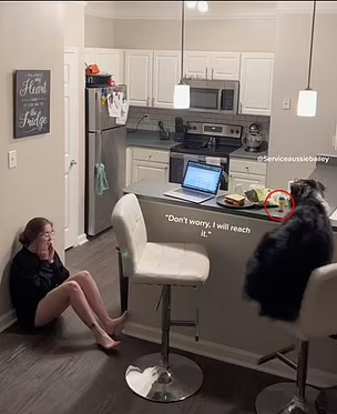 狗救人|Bailey跳上櫃檯拿藥。(互聯網)