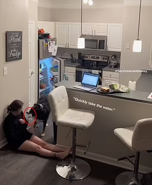 狗救人|Bailey之後開雪櫃拿水。(互聯網)