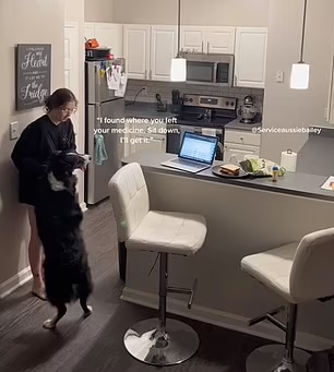 狗救人|Bailey聞到主人不妥。(互聯網)