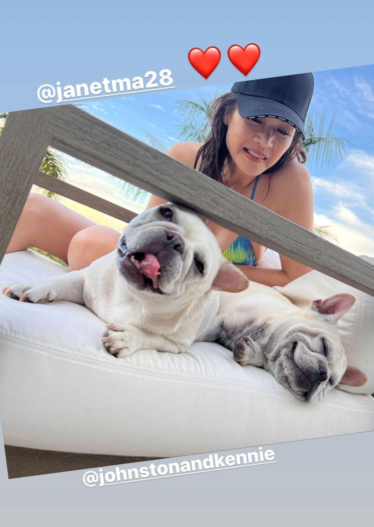 王敏德與馬詩慧為兩隻狗狗經營IG帳戶。