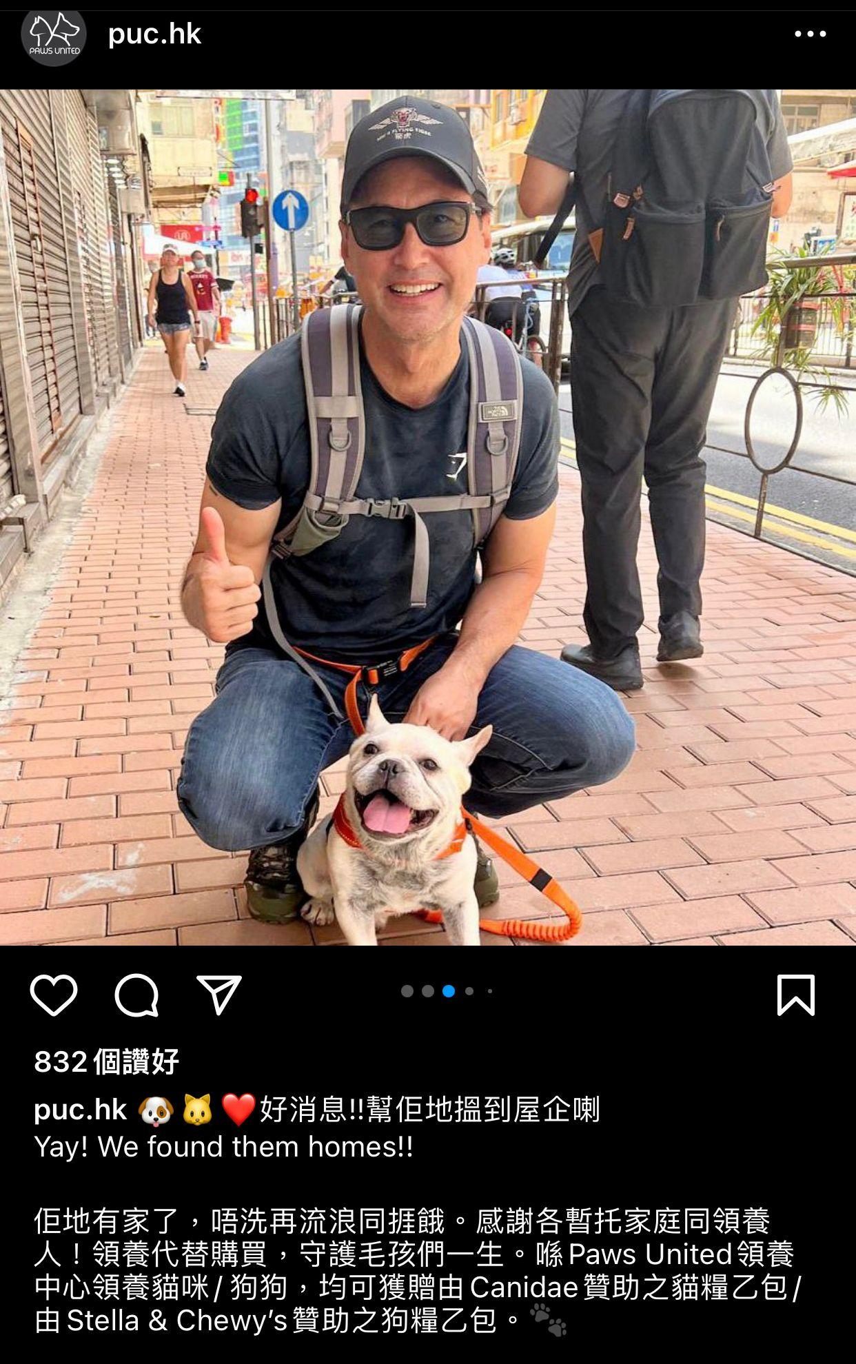 王敏德成功領養一隻法國老虎狗,令豪宅更添生氣。