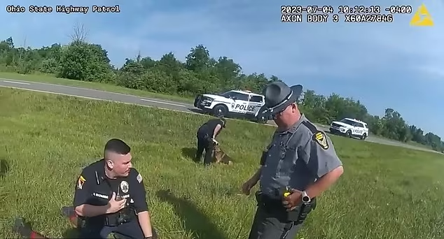 黑人司機舉雙手半跪投降,仍遭美警放咬狗。(互聯網)