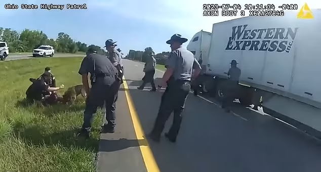 黑人司機舉雙手半跪投降,仍遭美警放咬狗。(互聯網)