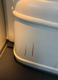 九霄驚魂|一名男乘客「爆樽」襲擊他人,血濺機艙。(互聯網)
