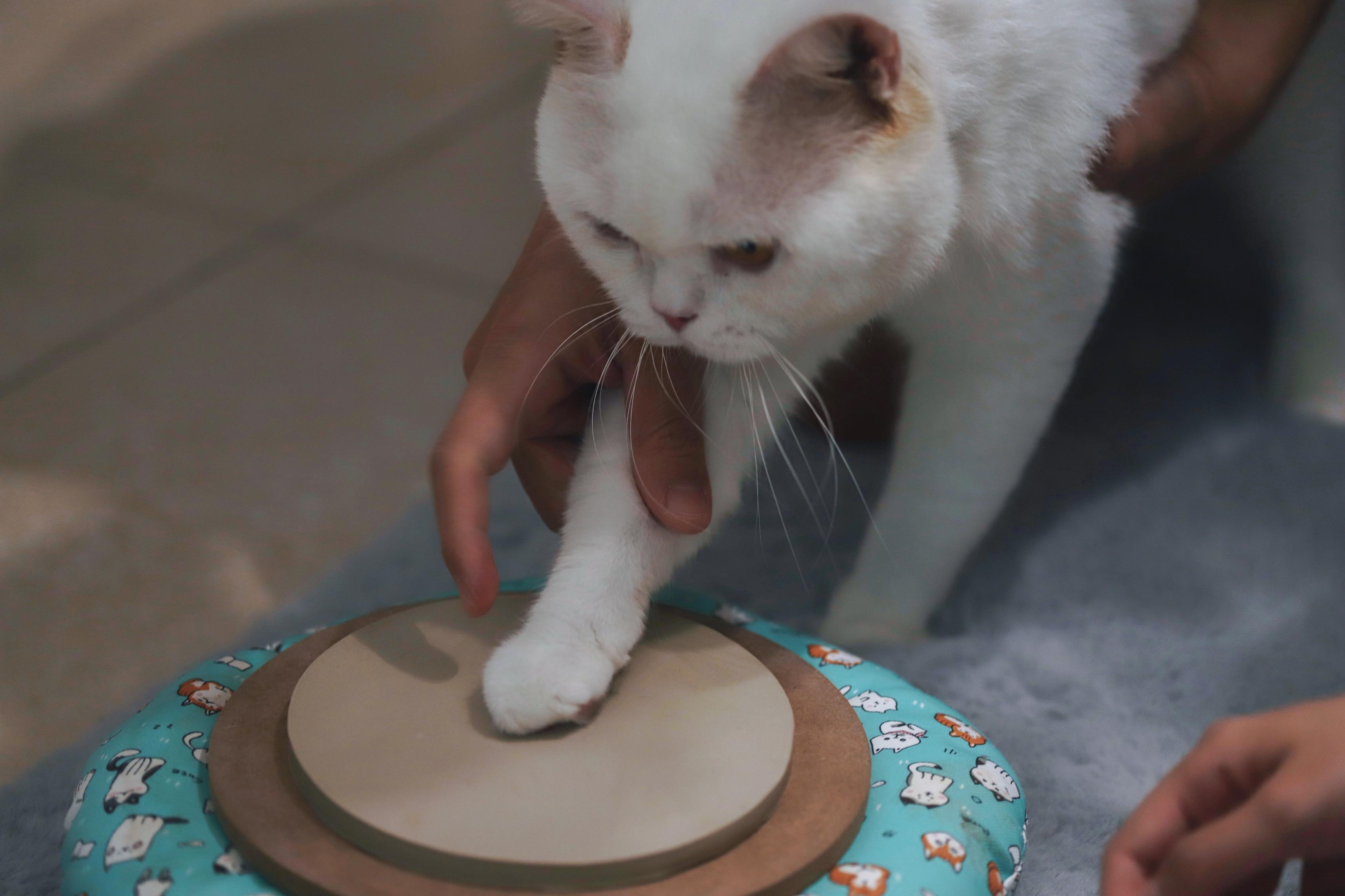 萌寵打手印工作坊