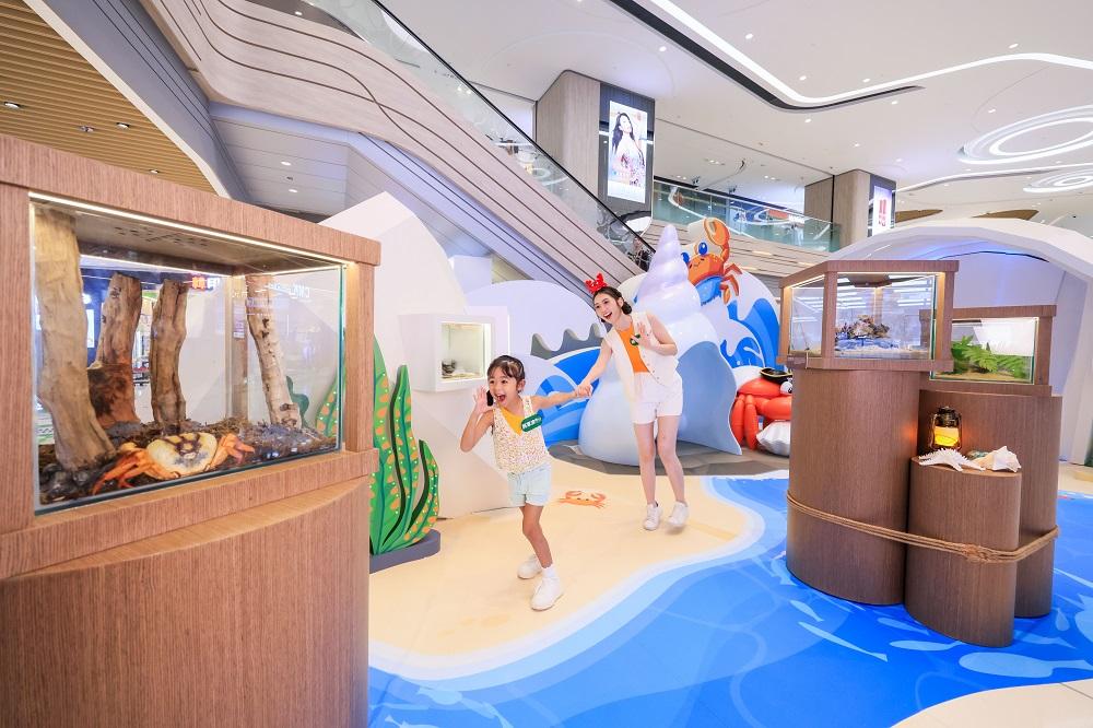 暑假好去處│夢幻貝殼世界