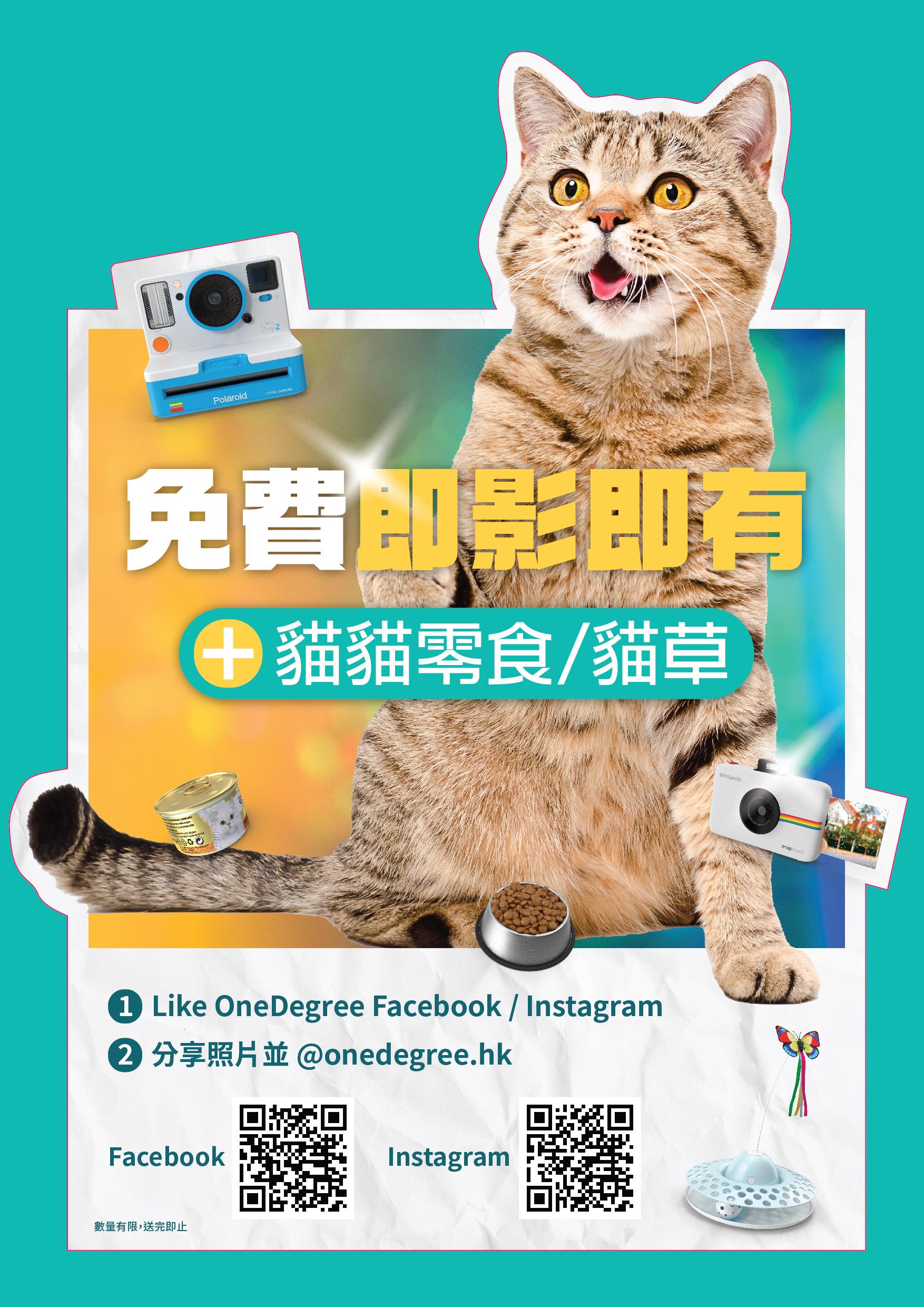 免費送主子即影即有照片