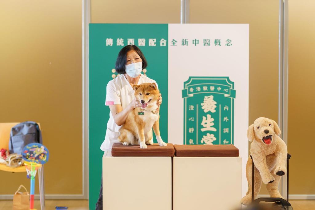 毛孩好去處│寵物免費體檢x按摩