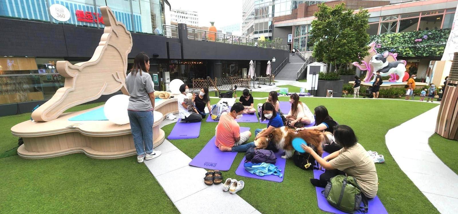 毛孩好去處│寵物免費體檢x按摩