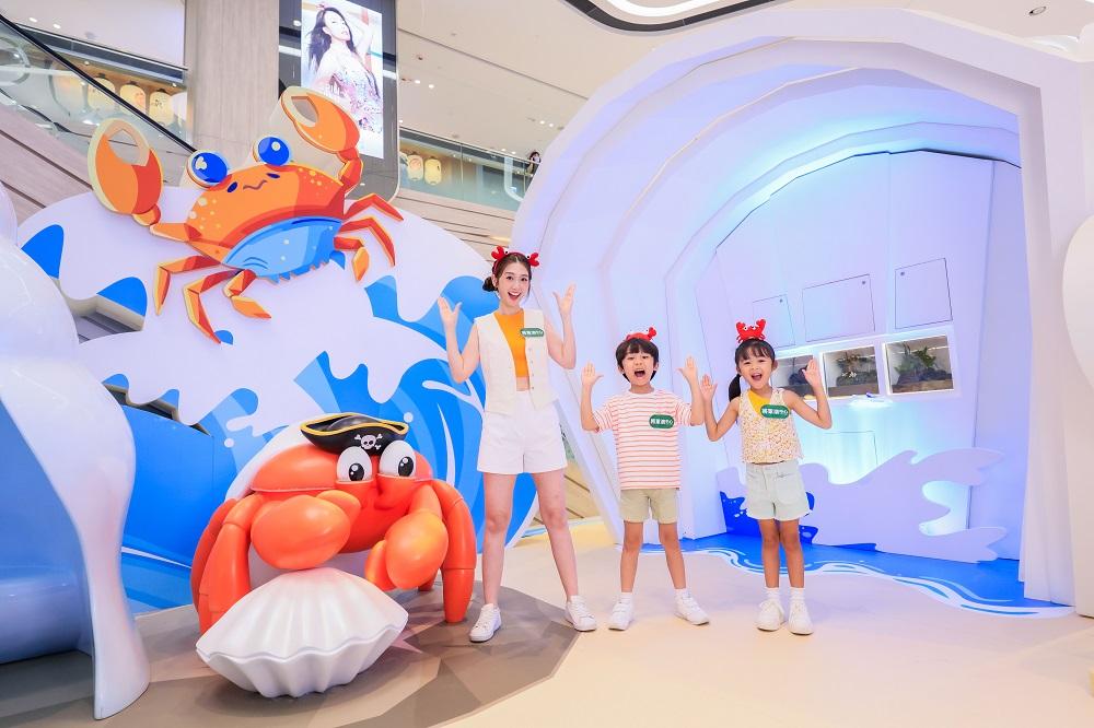 暑假好去處│夢幻貝殼世界