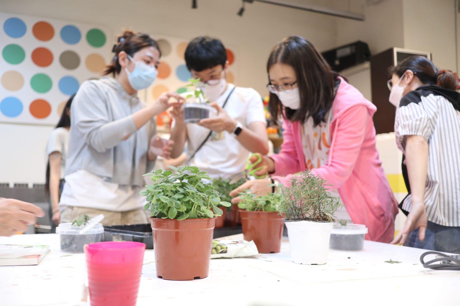 「綠活職人」工作坊