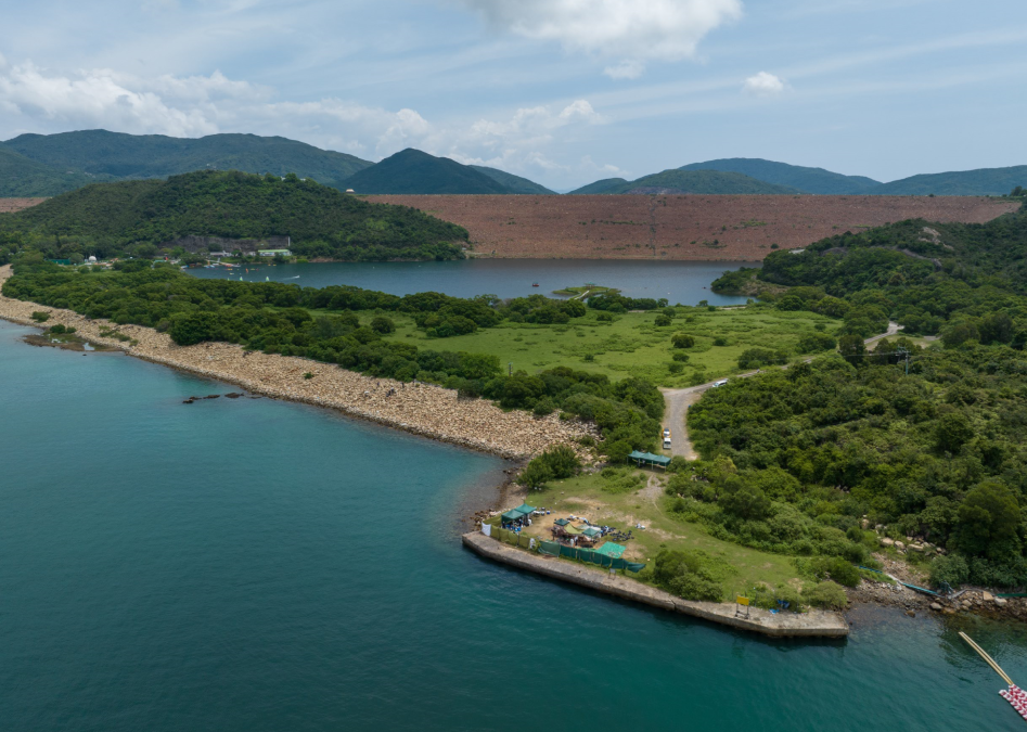 西貢布氏鯨完成解剖程序,明日埋萬宜水庫以作日後研究用途。