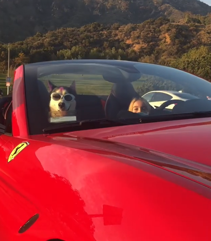 Lil Tay以炫富闖出「名堂」。(互聯網)