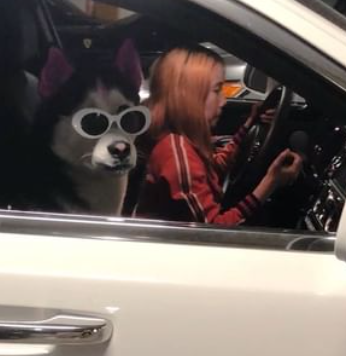 Lil Tay以炫富闖出「名堂」。(互聯網)