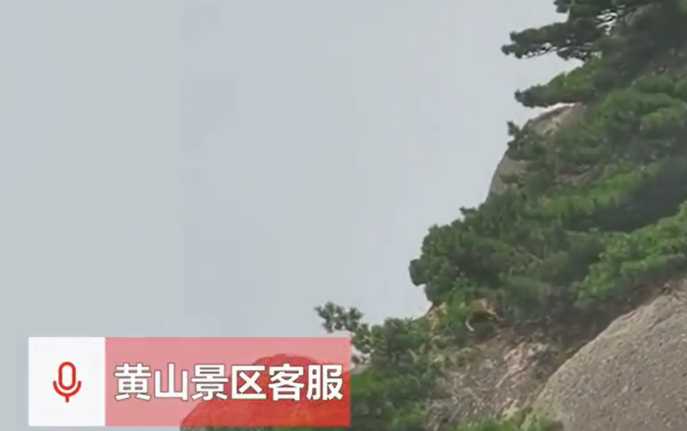 有遊客到大陸安徽著名景點黃山遊玩時,捕捉到了疑似國家一級保護動物「雲豹」。