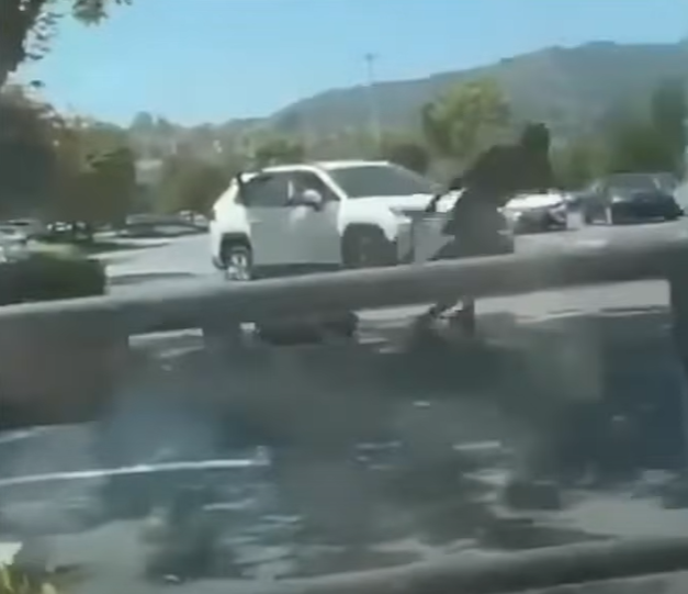 洛杉磯|遇劫老婦慘被拖行。(互聯網)