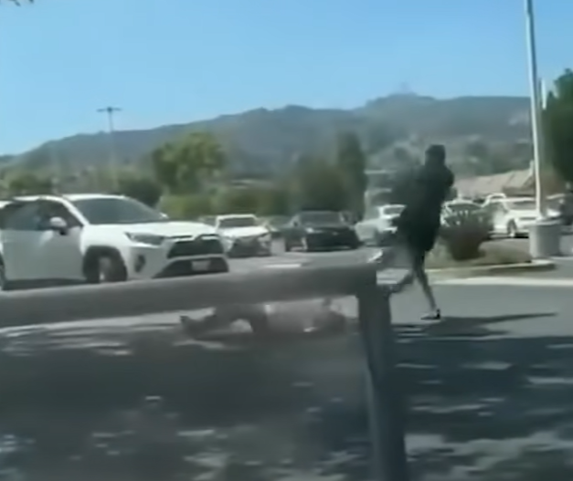 洛杉磯|遇劫老婦慘被拖行。(互聯網)