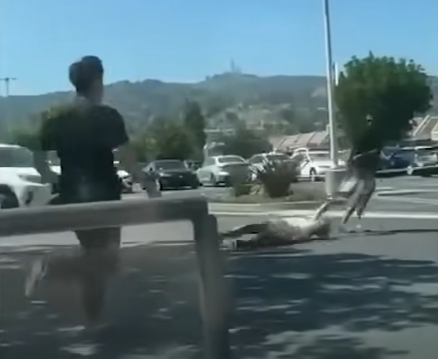 洛杉磯|遇劫老婦慘被拖行。(互聯網)