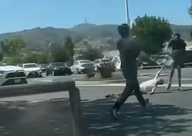 洛杉磯|遇劫老婦慘被拖行。(互聯網)