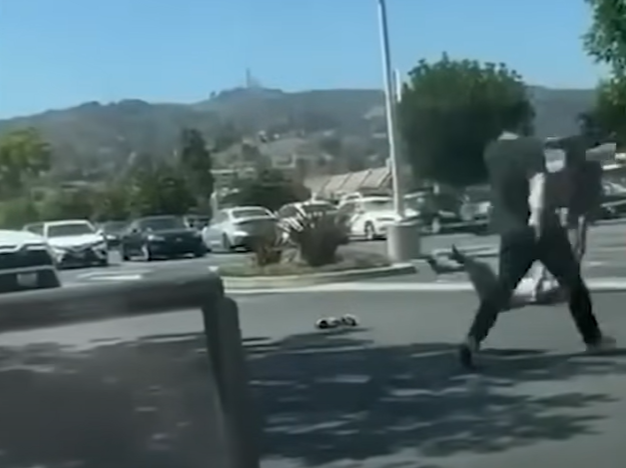 洛杉磯|遇劫老婦慘被拖行。(互聯網)