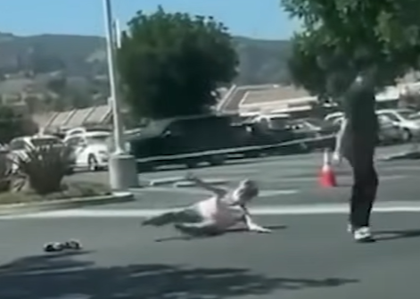 洛杉磯|遇劫老婦慘被拖行。(互聯網)