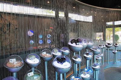 暑假好去處│西貢火山探知館