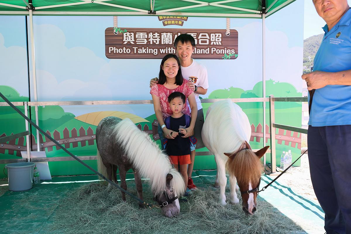暑假好去處│親親雪特蘭小馬。