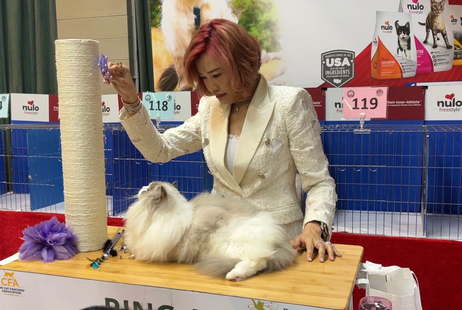 毛孩好去處│UFF冠軍貓展