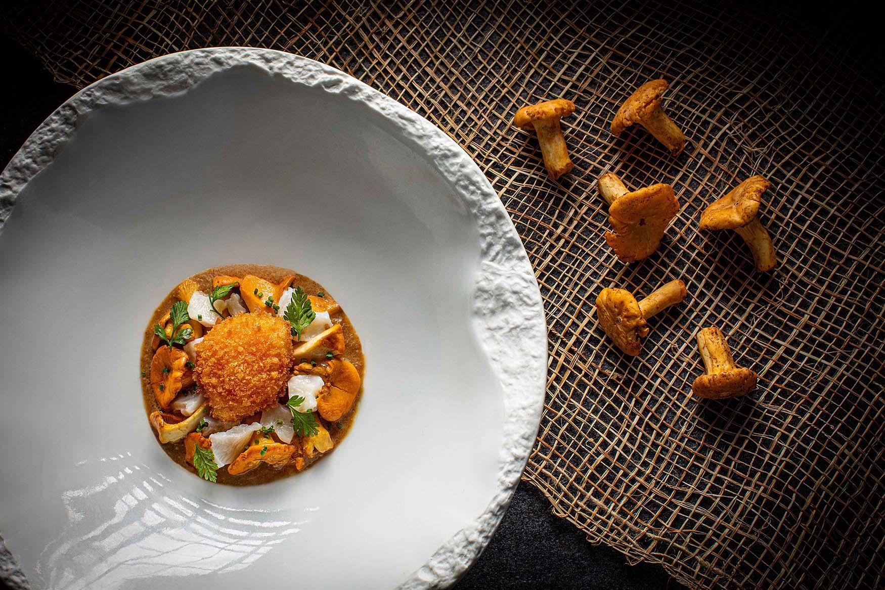 雞油菌琥珀鮰魚金肚粒