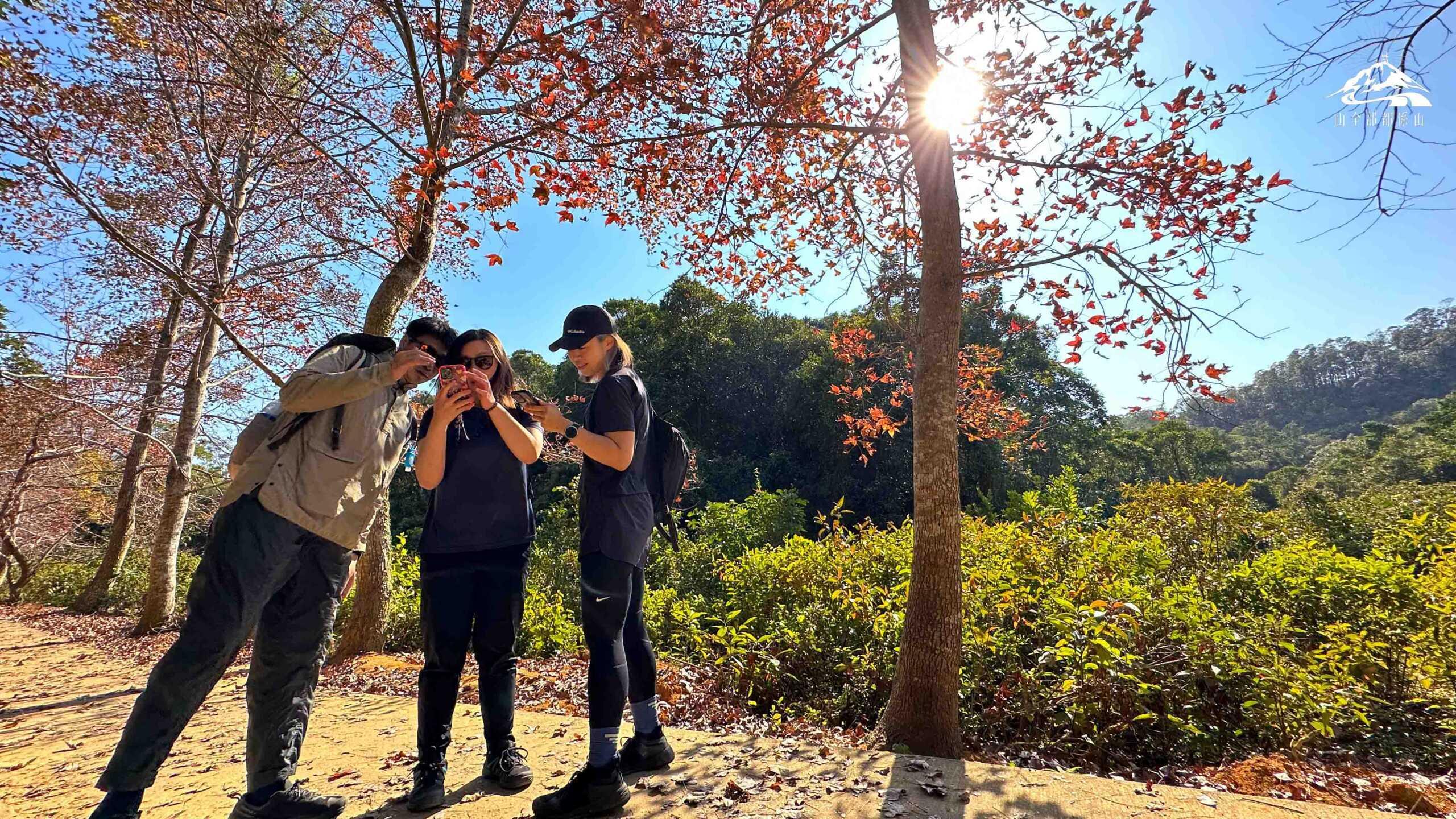 行山用品|太陽眼鏡可保護眼睛,免受有害紫外線的傷害