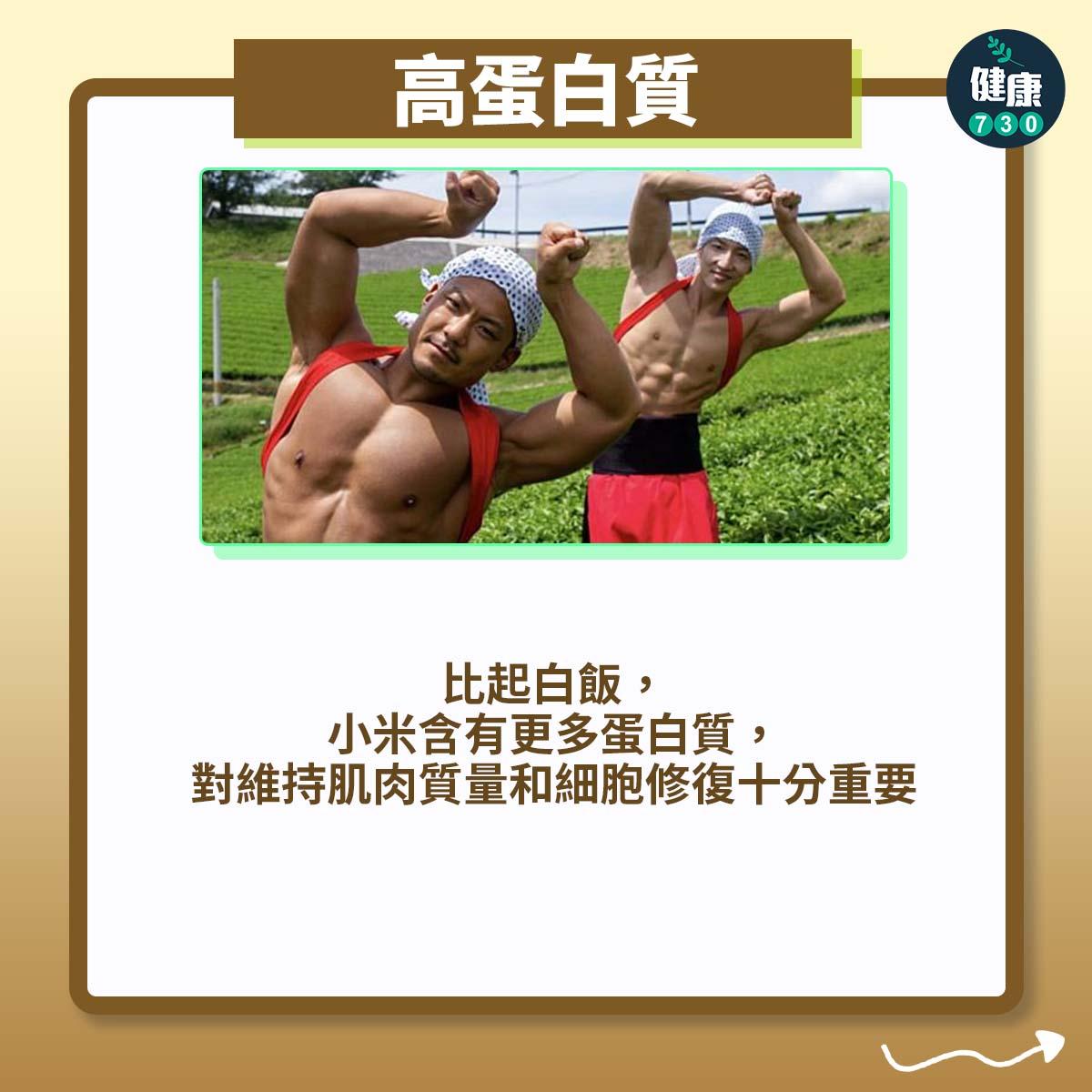 高蛋白質:比起白飯,小米含有更多蛋白質,對維持肌肉質量和細胞修復十分重要