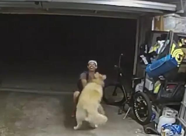 賊人竟然因為狗狗的熱情而露出笑容。(X)