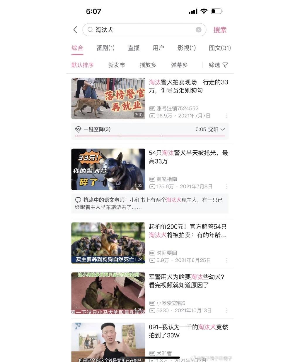 當日拍賣最高價一隻德牧為33萬元人民幣,成交總額為347.2萬元人民幣。(微博)