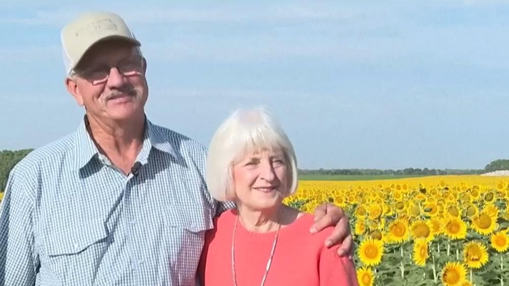 Lee Wilson指:「她一向很喜歡向日葵,我認為今年是種植向日葵的一年,所以我給她種了32公頃的向日葵。」(X)