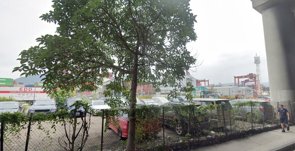 領養女子將嘰嘰交家人照顧,其家人指因為嘰嘰「太嘈」,一個多月前已將嘰嘰棄於葵涌貨櫃碼頭。(香港動物報)