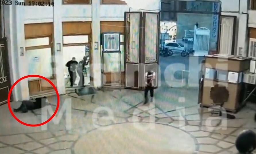 有人倒下,多人慌忙走避,槍手追入。(X)