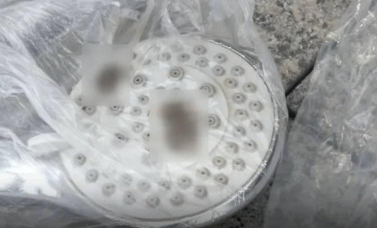 女子說自己噁心到一直在吐,直呼「這半個月我要吃不下飯了」。(微博)