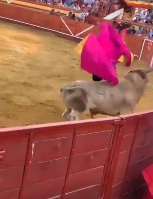 他在圍欄旁瞬間被牛頂飛空中,旋轉一圈撞在牛身上後重重落地。(X)