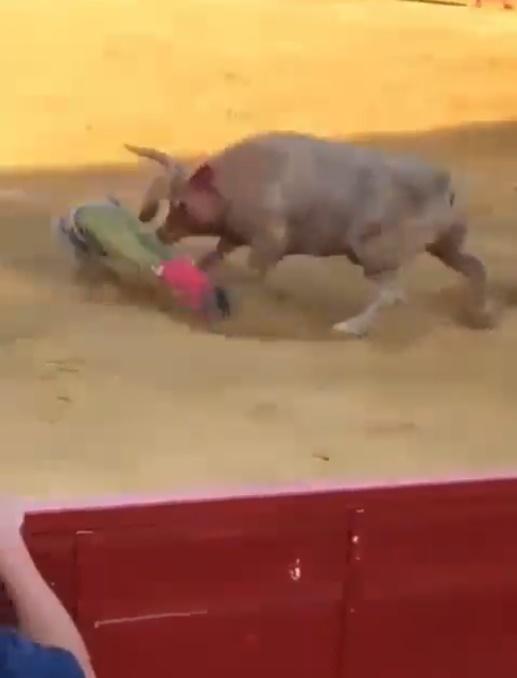 他倒臥地上還來不及反應,公牛已衝著他低頭用角攻擊他兩腿之間的位置,把他再度頂飛到半空,接著摔在地上。(X)